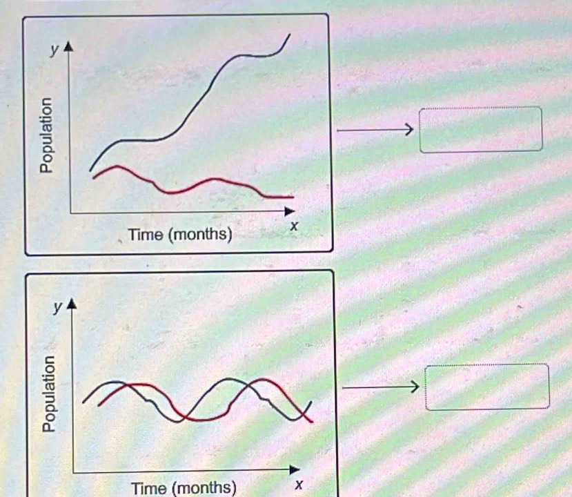 y
Time (months) x
Time (months) x