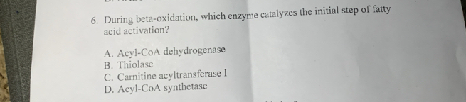 During beta-oxidation, which enzyme catalyzes the initial step of fatty
acid activation?
A. Acyl-CoA dehydrogenase
B. Thiolase
C. Carnitine acyltransferase I
D. Acyl-CoA synthetase