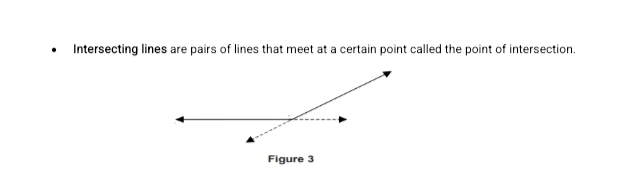 Intersecting lines are pairs of lines that meet at a certain point called the point of intersection. 
Figure 3