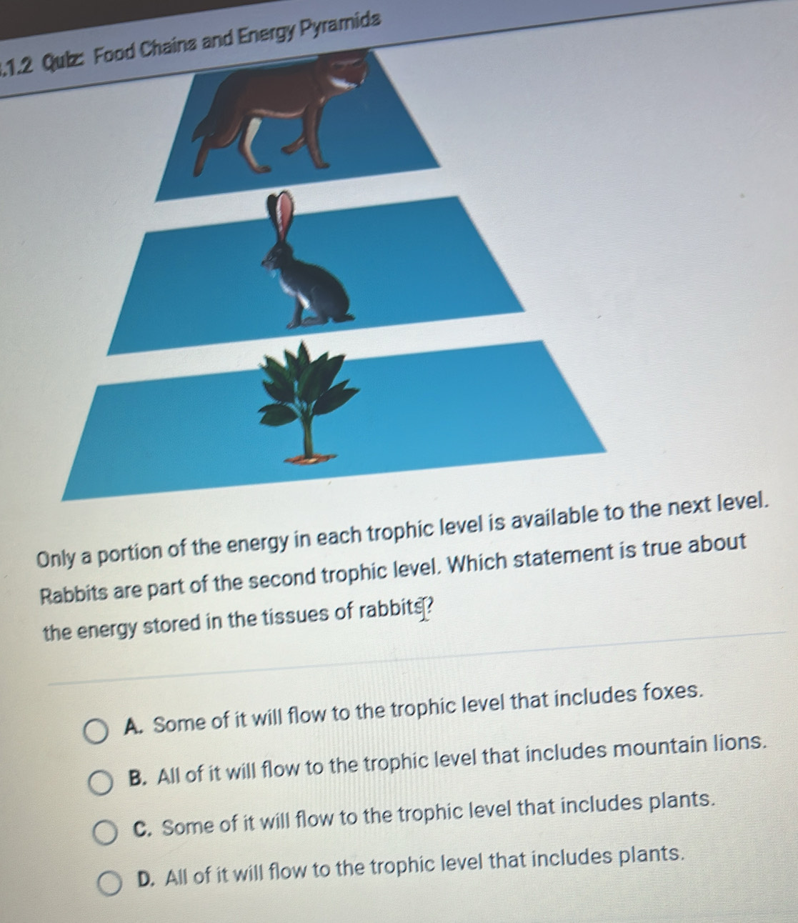 Solved: .1.2 Quiz: Food Chains and Energy Pyramids Only a portion of ...