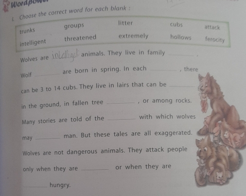 Wordpow 
rrect word for each blank : 
ani. 
Wolves are_ 
Wolf _are born in spring. In each _, there 
can be 3 to 14 cubs. They live in lairs that can be_ 
in the ground, in fallen tree _, or among rocks. 
Many stories are told of the _with which wolves 
may _man. But these tales are all exaggerated. 
Wolves are not dangerous animals. They attack people 
only when they are _or when they are 
_hungry.