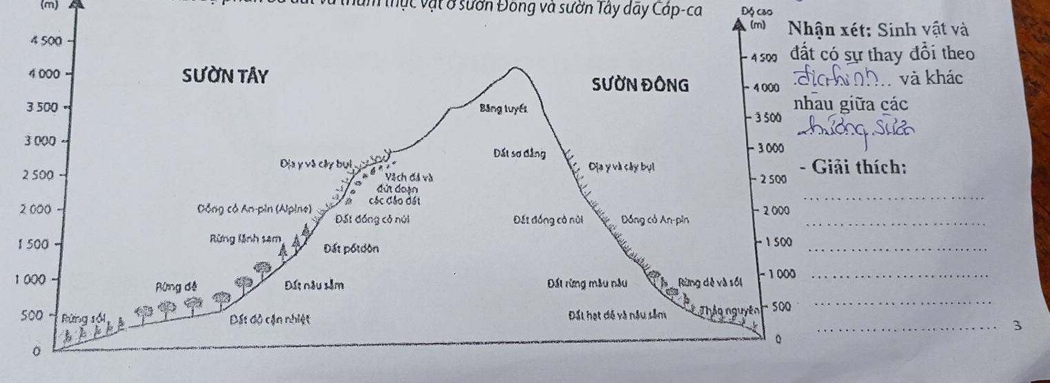 Thực vật ở sườn Đông và sườn Tây dây Cáp-ca Độ cão 
(m) Nhận xét: Sinh vật và
4500
- 4 500 đất có sự thay đổi theo
4 000 SƯờN TÂY và khác 
SƯỜN ĐỒNG 4000
3 500 Bảng luyết nhau giữa các 
− 3 500
3 000 - 3 000
Đất sơ đảng
2 500 Địa y và cây bui y og Dịa y và cây bụi Giải thích: 
Vàch đả và − 2 500
dứ đoạn 
các Cáo đái − 2 000
_
2000 Đồng có An-pin (Alpino) Đái đồng có núi Đếi đồng có núi Đồng có An-pin_
1 500 Rừng Kãnh 1am Đất pốt dòn 
_
− 1500
to
1 000 Đất nău Hằm Đất rừng mẫu nău Rừng dễ và sối − 1000 _ 
Róng đé 
Bê Tháq nguyên_
500 Rừng số1 Đất độ cận nhiệt Đất hạt đề và nậu sâm - 500
_3 
b 
。