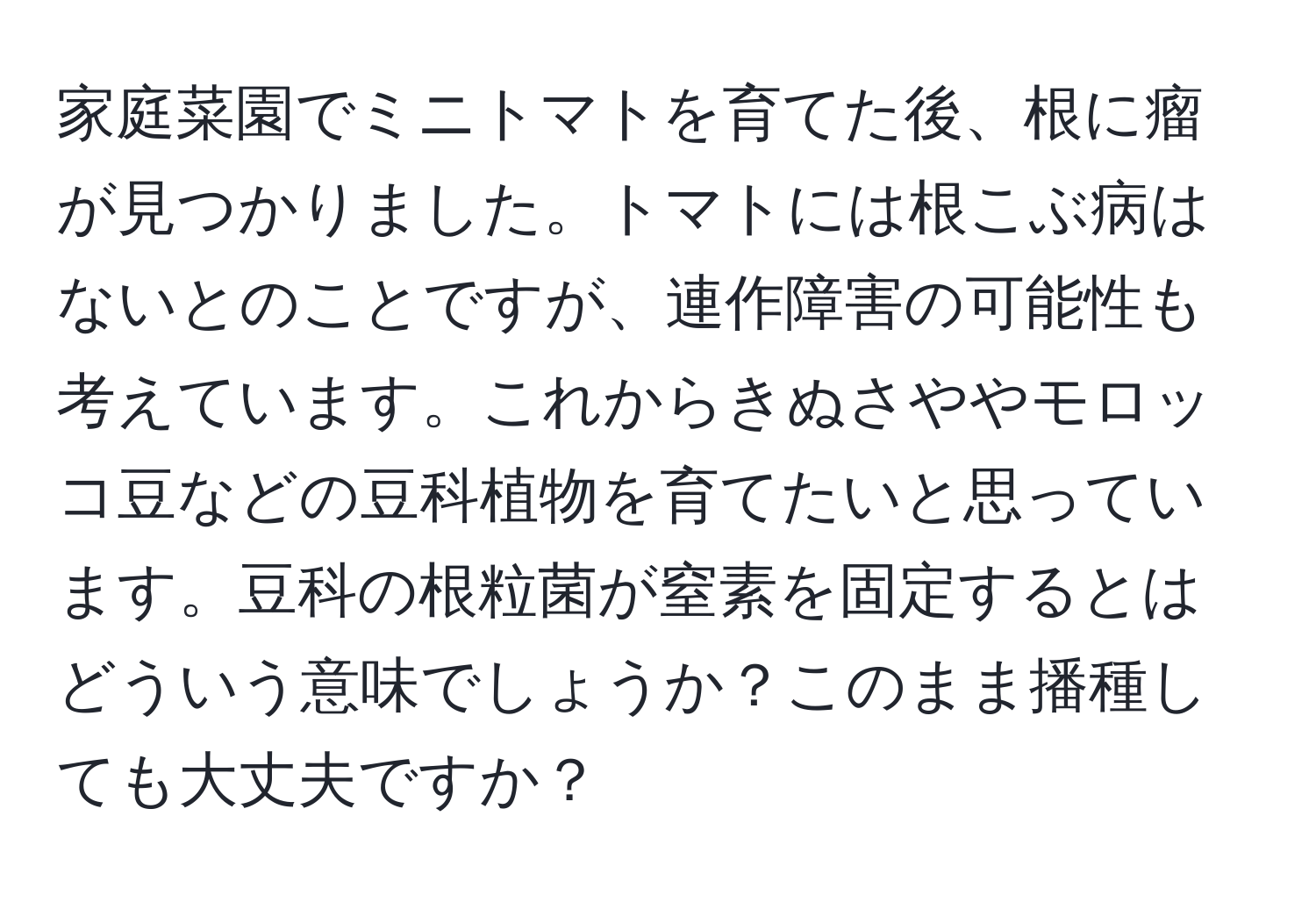 家庭菜園でミニトマトを育てた後、根に瘤が見つかりました。トマトには根こぶ病はないとのことですが、連作障害の可能性も考えています。これからきぬさややモロッコ豆などの豆科植物を育てたいと思っています。豆科の根粒菌が窒素を固定するとはどういう意味でしょうか？このまま播種しても大丈夫ですか？