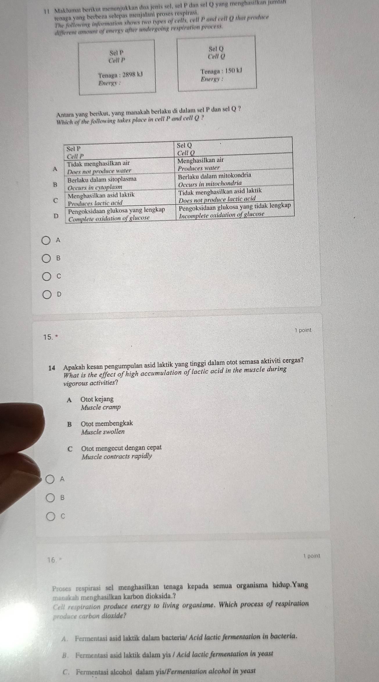 Maklumat berikut menunjukkan dua jenis sel, sel P dan sel Q yang menghasilkan juma
tenaga yang berbeza selepas menjalani proses respirasi.
The following information shows two types of cells, cell P and cell Q that produce
different amount of energy after undergoing respiration process.
Sel Q
Sel P CellQ
Cell P
Tenaga : 2898 kJ Tenaga : 150 kJ
Energy :
Energy :
Antara yang berikut, yang manakah berlaku di dalam sel P dan sel Q ?
Which of the following takes place in cell P and cell Q ?
A
B
C
D
1 point
15. *
14 Apakah kesan pengumpulan asid laktik yang tinggi dalam otot semasa aktiviti cergas?
What is the effect of high accumulation of lactic acid in the muscle during
vigorous activities?
A Otot kejang
Muscle cramp
B Otot membengkak
Muscle swollen
C Otot mengecut dengan cepat
Muscle contracts rapidly
A
B
C
16." 1 point
Proses respirasi sel menghasilkan tenaga kepada semua organisma hidup.Yang
manakah menghasilkan karbon dioksida.?
Cell respiration produce energy to living organisme. Which process of respiration
produce carbon dioxide?
A. Fermentasi asid laktik dalam bacteria/ Acid lactic fermentation in bacteria.
B. Fermentasi asid laktik dalam yis / Acid lactic fermentation in yeast
C. Fermentasi alcohol dalam yis/Fermentation alcohol in yeast