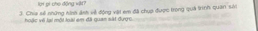 lới gi cho động vật? 
3. Chia sẻ những hình ảnh về động vật em đã chụp được trong quá trình quan sái 
hoặc vẽ lại một loài em đã quan sát được,
