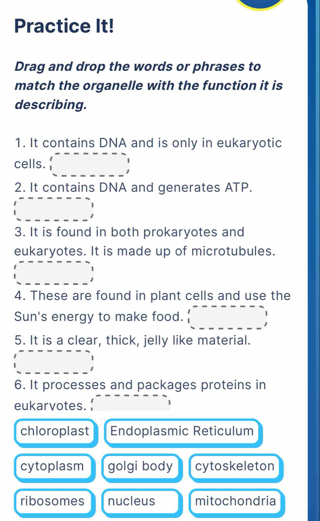 Practice It!
Drag and drop the words or phrases to
match the organelle with the function it is
describing.
1. It contains DNA and is only in eukaryotic
cells. () 
2. It contains DNA and generates ATP.
(-y-()=()(x^ 
□  
3. It is found in both prokaryotes and
eukaryotes. It is made up of microtubules.
4. These are found in plant cells and use the
Sun's energy to make food. □ 
5. It is a clear, thick, jelly like material.
(-y-()=()(x^ 
6. It processes and packages proteins in
eukarvotes.
chloroplast Endoplasmic Reticulum
cytoplasm golgi body cytoskeleton
ribosomes nucleus mitochondria