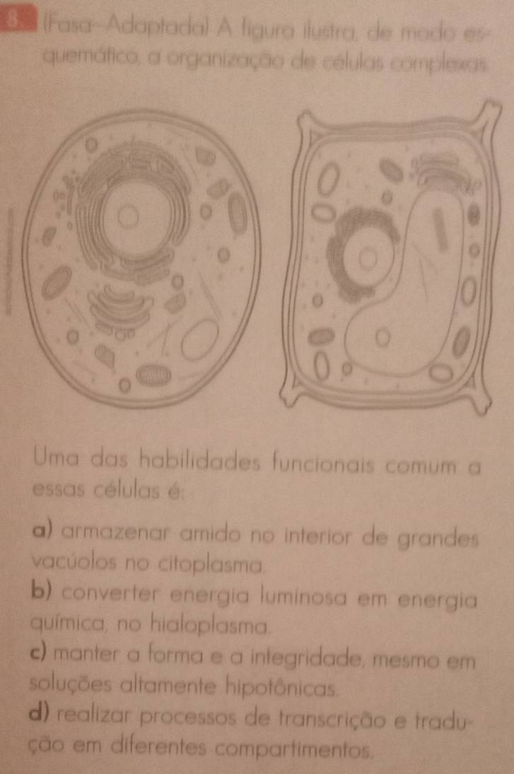 3 (Fasa-Adaptada) A figura ilustra, de modo es-
quemático, a organização de células complexas
Uma das habilidades funcionais comum a
essas células é:
a) armazenar amido no interior de grandes 
vacúolos no citoplasma.
b) converter energia luminosa em energia
química, no hialoplasma.
c) manter a forma e a integridade, mesmo em
soluções altamente hipotônicas.
d) realizar processos de transcrição e tradu-
ção em diferentes compartimentos.