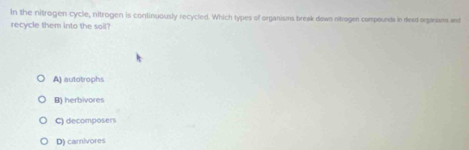 In the nitrogen cycle, nitrogen is continuously recycled. Which types of organisms break down nitrogen compounds in dead organisms and
recycle them into the soil?
A) autotrophs
B) herbivores
C) decomposers
D) carnivores