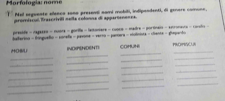 Morfologia: nome 
Nel seguente elenco sono presenti nomi mobili, indipendenti, di genere comune, 
promiscui. Trascrivili nella colonna di appartenenza. 
preside =ragaze=nuora=gorilla=lattoniere-cuoco-madre-portinalo-astronauta- cavallo 
ballerino =fringuello=sorella=pavone=verro=pantera= violinista-cliente= ghepardo 
_ 
MOBILI INDIPENDENTI COMUNI PROMISCUI 
_ 
_ 
_ 
_ 
_ 
_ 
_ 
_ 
_ 
_ 
_ 
_ 
_ 
_ 
_ 
_ 
_ 
_ 
_ 
nn 
_ 
_