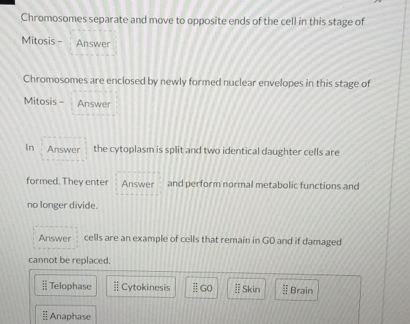 Chromosomes separate and move to opposite ends of the cell in this stage of 
Mitosis - Answer 
Chromosomes are enclosed by newly formed nuclear envelopes in this stage of 
Mitosis - Answer 
In Answer the cytoplasm is split and two identical daughter cells are 
formed. They enter Answer and perform normal metabolic functions and 
no longer divide. 
Answer cells are an example of cells that remain in G0 and if damaged 
cannot be replaced. 
Telophase : Cytokinesis ⅱG0  Skin Brain 
Anaphase