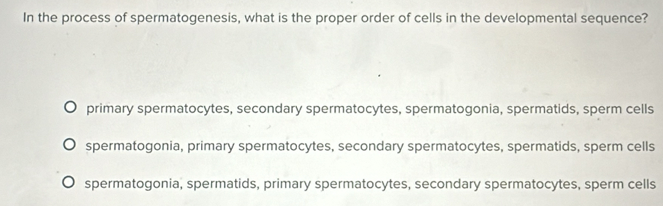 In the process of spermatogenesis, what is the proper order of cells in the developmental sequence?
primary spermatocytes, secondary spermatocytes, spermatogonia, spermatids, sperm cells
spermatogonia, primary spermatocytes, secondary spermatocytes, spermatids, sperm cells
spermatogonia, spermatids, primary spermatocytes, secondary spermatocytes, sperm cells