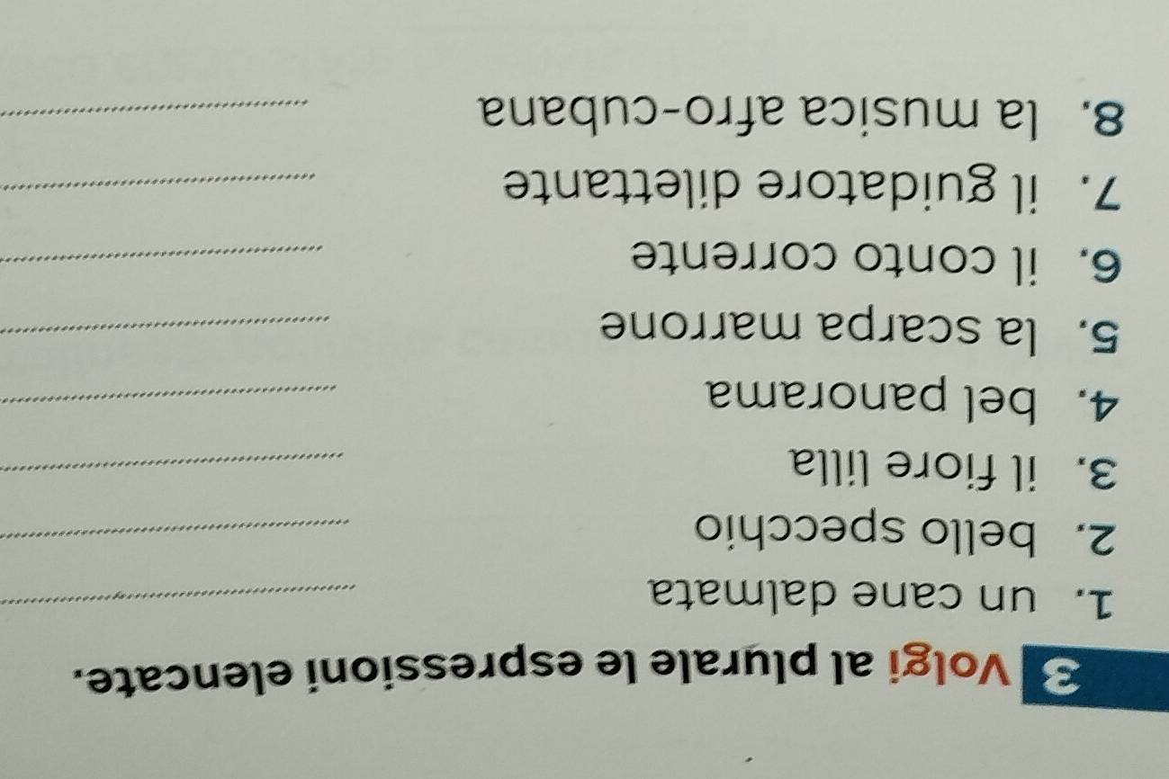 Volgi al plurale le espressioni elencate. 
1. un cane dalmata_ 
2. bello specchio 
_ 
3. il fiore lilla 
_ 
4. bel panorama 
_ 
5. la scarpa marrone_ 
6. il conto corrente 
_ 
7. il guidatore dilettante_ 
8. la musica afro-cubana_