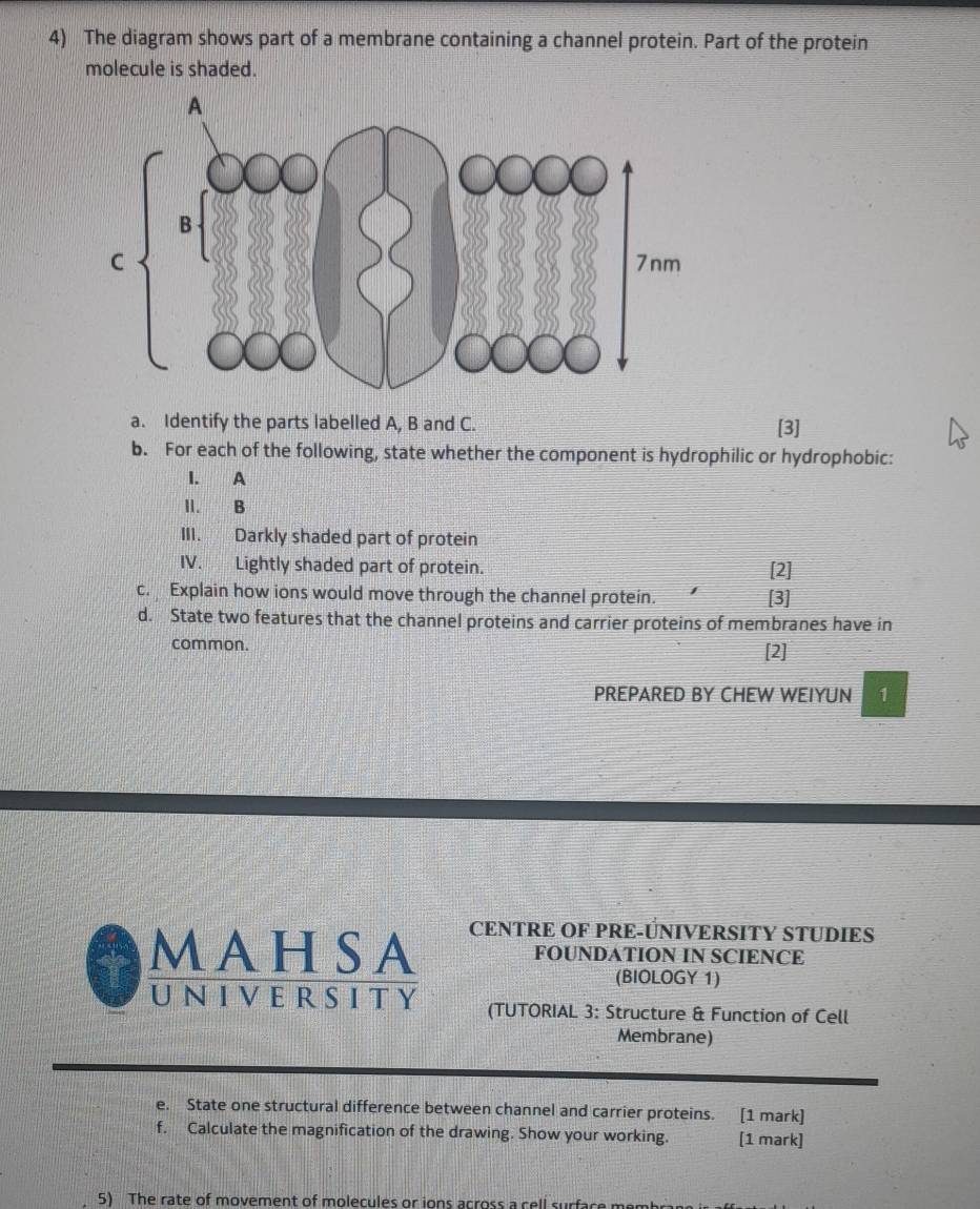 The diagram shows part of a membrane containing a channel protein. Part of the protein 
molecule is shaded. 
a. Identify the parts labelled A, B and C. [3] 
b. For each of the following, state whether the component is hydrophilic or hydrophobic: 
I. A
II. B 
III. Darkly shaded part of protein 
IV. Lightly shaded part of protein. [2] 
c. Explain how ions would move through the channel protein. [3] 
d. State two features that the channel proteins and carrier proteins of membranes have in 
common. [2] 
PREPARED BY CHEW WEIYUN 1 
MA HSA CENTRE OF PRE-ÚNIVERSITY STUDIES 
FOUNDATION IN SCIENCE 
(BIOLOGY 1) 
university (TUTORIAL 3: Structure & Function of Cell 
Membrane) 
e. State one structural difference between channel and carrier proteins. [1 mark] 
f. Calculate the magnification of the drawing. Show your working. [1 mark] 
5) The rate of movement of molecules or ions across a cell surface m
