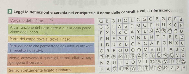 Leggi le definizioni e cerchia nel crucipuzzle il nome delle centrali a cui si riferiscono.
L'organo dell'olfatto.
Altra funzione del naso oltre a quella della perce-
zione degli odori.
Parte del corpo dove si trova il naso.
Parti del naso che permettono agli odori di arrivare
ai recettori olfattivi.
Nervo attraverso il quale gli stimoli olfattivi rag-
giungono il cervello.
Senso strettamente legato all'olfatto.