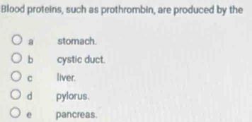 Blood proteins, such as prothrombin, are produced by the
a stomach.
b cystic duct.
C liver.
d pylorus.
e pancreas.