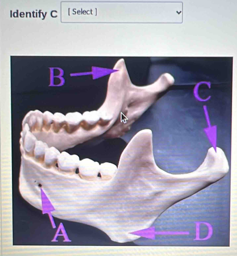 Identify C [ Select ]