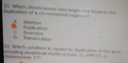 Which chromosomal rearrangement involves the
duplication of a chromosomal segment
A. Deletion. Duplication
C. Inversion
D. Translocation
32. Which condition is caused by duplication of the gene
enceding peripheral myelin protein 22 (PMP22) on
chromosome 177