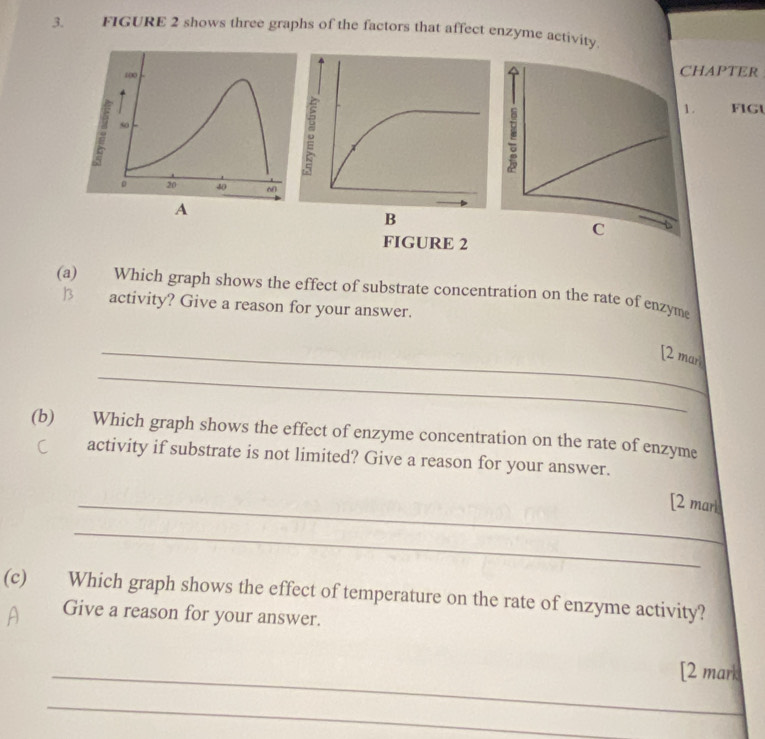 FIGURE 2 shows three graphs of the factors that affect enzyme activity. 
CHAPTER 
1. FIGU 
(a) Which graph shows the effect of substrate concentration on the rate of enzyme 
13 activity? Give a reason for your answer. 
_ 
_[2 man 
(b) Which graph shows the effect of enzyme concentration on the rate of enzyme 
activity if substrate is not limited? Give a reason for your answer. 
_[2 mark 
_ 
(c) Which graph shows the effect of temperature on the rate of enzyme activity? 
Give a reason for your answer. 
_[2 mark 
_