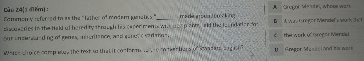Câu 24(1 điểm) : A Gregor Mendel, whose work
Commonly referred to as the "father of modern genetics,"_ made groundbreaking
discoveries in the field of heredity through his experiments with pea plants, laid the foundation for B it was Gregor Mendel's work that
our understanding of genes, inheritance, and genetic variation. C the work of Gregor Mendel
Which choice completes the text so that it conforms to the conventions of Standard English? D Gregor Mendel and his work