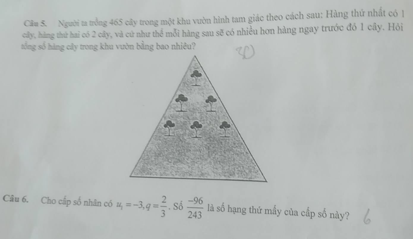 Người ta trồng 465 cây trong một khu vườn hình tam giác theo cách sau: Hàng thứ nhất có 
cây, hàng thứ hai có 2 cây, và cứ như thể mỗi hàng sau sẽ có nhiều hơn hàng ngay trước đó 1 cây. Hỏi 
tổng số hàng cây trong khu vườn bằng bao nhiêu? 
Câu 6. Cho cấp số nhân có u_1=-3, q= 2/3 . Số  (-96)/243  là số hạng thứ mấy của cấp số này?