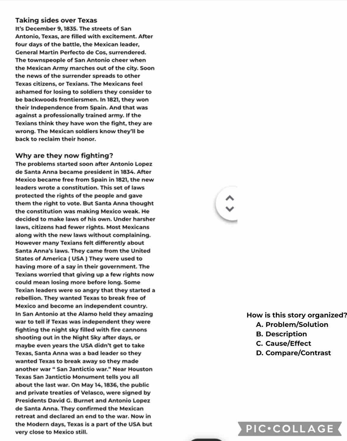 Taking sides over Texas
It's December 9, 1835. The streets of San
Antonio, Texas, are filled with excitement. After
four days of the battle, the Mexican leader,
General Martin Perfecto de Cos, surrendered.
The townspeople of San Antonio cheer when
the Mexican Army marches out of the city. Soon
the news of the surrender spreads to other
Texas citizens, or Texians. The Mexicans feel
ashamed for losing to soldiers they consider to
be backwoods frontiersmen. In 1821, they won
their Independence from Spain. And that was
against a professionally trained army. If the
Texians think they have won the fight, they are
wrong. The Mexican soldiers know they'll be
back to reclaim their honor.
Why are they now fighting?
The problems started soon after Antonio Lopez
de Santa Anna became president in 1834. After
Mexico became free from Spain in 1821, the new
leaders wrote a constitution. This set of laws
protected the rights of the people and gave
them the right to vote. But Santa Anna thought a
the constitution was making Mexico weak. He
decided to make laws of his own. Under harsher
laws, citizens had fewer rights. Most Mexicans
along with the new laws without complaining.
However many Texians felt differently about
Santa Anna's laws. They came from the United
States of America ( USA ) They were used to
having more of a say in their government. The
Texians worried that giving up a few rights now
could mean losing more before long. Some
Texian leaders were so angry that they started a
rebellion. They wanted Texas to break free of
Mexico and become an independent country.
In San Antonio at the Alamo held they amazing How is this story organized?
war to tell if Texas was independent they were A. Problem/Solution
fighting the night sky filled with fire cannons
shooting out in the Night Sky after days, or
B. Description
maybe even years the USA didn't get to take C. Cause/Effect
Texas, Santa Anna was a bad leader so they D. Compare/Contrast
wanted Texas to break away so they made
another war “ San Jantictio war.” Near Houston
Texas San Jantictio Monument tells you all
about the last war. On May 14, 1836, the public
and private treaties of Velasco, were signed by
Presidents David G. Burnet and Antonio Lopez
de Santa Anna. They confirmed the Mexican
retreat and declared an end to the war. Now in
the Modern days, Texas is a part of the USA but
very close to Mexico still.
PIC•COLLAGE
