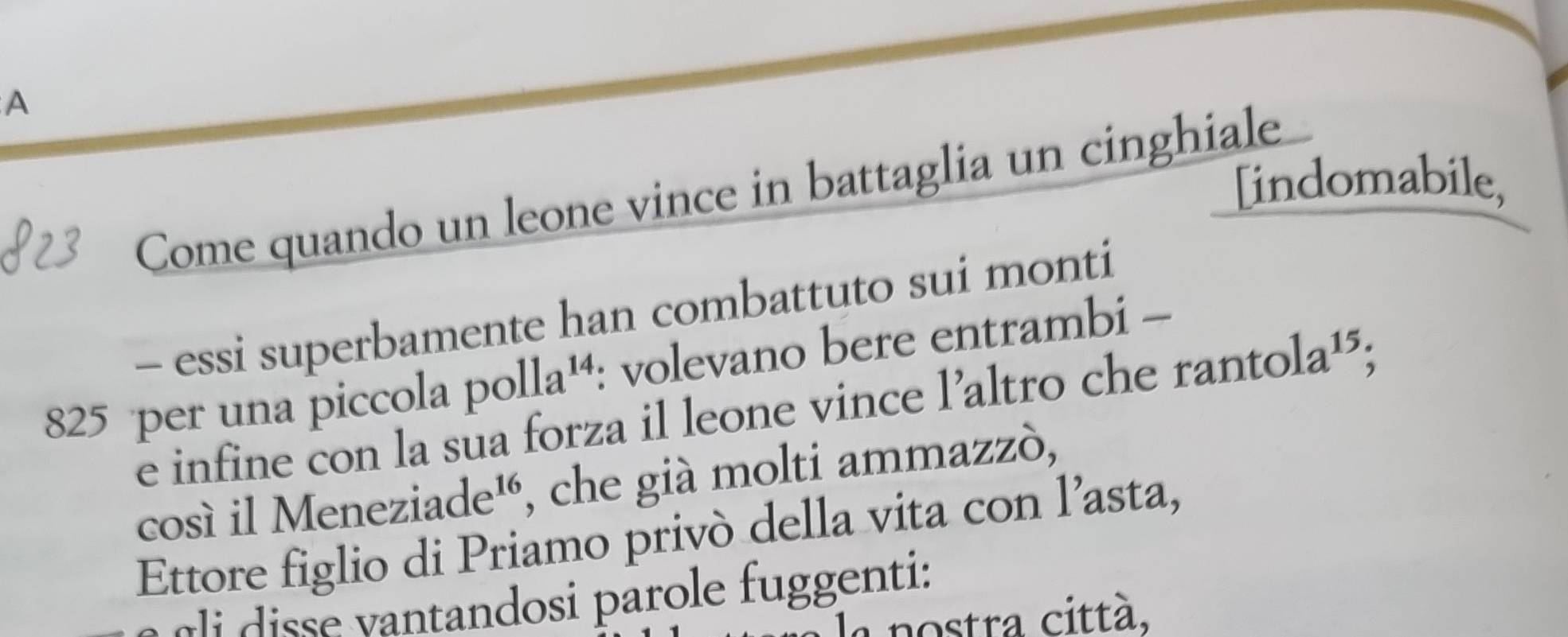 A 
[indomabile, 
Come quando un leone vince in battaglia un cinghiale 
- essi superbamente han combattuto sui monti
825 per una piccola po 11a^(14) : volevano bere entrambi - 
e infine con la sua forza il leone vince l’altro che ranto 1a^(15)
così il Men eziade^(16) , che già molti ammazzò, 
Ettore figlio di Priamo privò della vita con l’asta, 
e a i disse vantandosi parole fuggenti: 
la postra città.