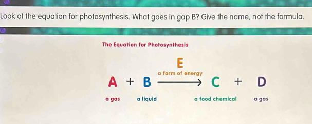 Solved: Look at the equation for photosynthesis. What goes in gap B ...
