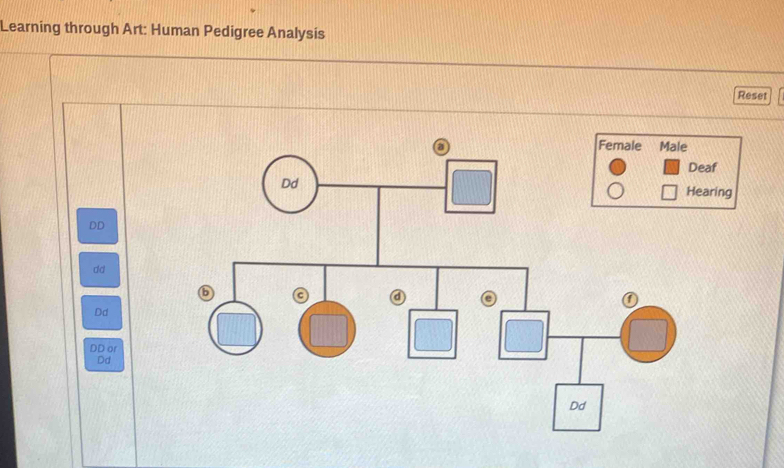 Solved: Learning through Art: Human Pedigree Analysis Reset DD dd Dd DD ...
