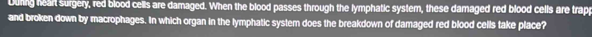 Duning heart surgery, red blood cells are damaged. When the blood passes through the lymphatic system, these damaged red blood cells are trapp 
and broken down by macrophages. In which organ in the lymphatic system does the breakdown of damaged red blood cells take place?