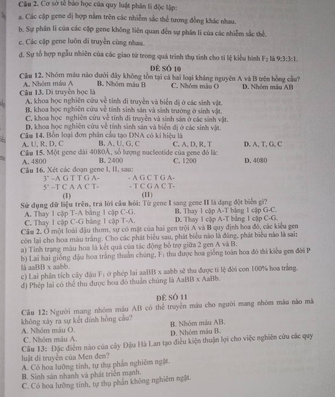 Cơ sở tế bào học của quy luật phân li độc lập:
a. Các cặp gene dị hợp nằm trên các nhiễm sắc thể tương đồng khác nhau.
b. Sự phân li của các cặp gene không liên quan đến sự phân li của các nhiễm sắc thể.
c. Các cặp gene luôn di truyền cùng nhau.
d. Sự tổ hợp ngẫu nhiên của các giao tử trong quá trình thụ tinh cho tỉ lệ kiểu hình F_2 là 9:3:3:1.
Đẻ SÓ 10
Câu 12. Nhóm máu nào dưới đây không tồn tại cả hai loại kháng nguyên A và B trên hồng cầu?
A. Nhóm máu A B. Nhóm máu B C. Nhóm máu O D. Nhóm máu AB
Câu 13. Di truyền học là
A. khoa học nghiên cứu về tính di truyền và biến dị ở các sinh vật.
B. khoa học nghiên cứu về tính sinh sản và sinh trưởng ở sinh vật.
C. khoa học nghiên cứu về tính di truyền và sinh sản ở các sinh vật.
D. khoa học nghiên cứu về tính sinh sản và biến dị ở các sinh vật.
iê Câu 14. Bốn loại đơn phân cấu tạo DNA có kí hiệu là
A. U, R, D, C B. A, U, G, C C. A, D, R, T D. A, T, G, C
Câu 15. Một gene dài 4080Å, số lượng nucleotide của gene đó là:
ene A. 4800 B. 2400 C. 1200 D. 4080
Câu 16. Xét các đoạn gene I, II, sau:
3' -A G T T G A- - A G C T G A-
) ` -T C A A C T- - T C G A C T-
(I) (II)
Sử dụng dữ liệu trên, trả lời câu hỏi: Từ gene I sang gene II là dạng đột biến gì?
A. Thay 1 cặp T-A bằng 1 cặp C-G. B. Thay 1 cặp A-T bằng 1 cặp G-C.
C. Thay 1 cặp C-G bằng 1 cặp T-A. D. Thay 1 cặp A-T bằng 1 cặp C-G.
Câu 2. Ở một loài đậu thơm, sự có mặt của hai gen trội A và B quy định hoa đỏ, các kiểu gen
còn lại cho hoa màu trắng. Cho các phát biểu sau, phát biểu nào là đúng, phát biểu nào là sai:
a) Tính trạng màu hoa là kết quả của tác động bổ trợ giữa 2 gen A và B.
b) Lai hai giống đậu hoa trắng thuần chủng, F_1 thu được hoa giống toàn hoa đỏ thì kiểu gen đời P
là aaBB x aabb.
c) Lai phân tích cây đậu F_1 ở phép lai aaBB x aabb sẽ thu được tỉ lệ đời con 100% hoa trắng.
AaBB* AaBb.
d) Phép lai có thể thu được hoa đỏ thuần chủng là Aa
đẻ số 11
Câu 12: Người mang nhóm máu AB có thể truyền máu cho người mang nhóm máu nào mà
không xảy ra sự kết dính hồng cầu?
A. Nhóm máu O. B. Nhóm máu AB.
D. Nhóm máu B.
C. Nhóm máu A.
Câu 13: Đặc điểm nào của cây Đậu Hà Lan tạo điều kiện thuận lợi cho việc nghiên cứu các quy
luật di truyền của Men đen?
A. Có hoa lưỡng tính, tự thụ phấn nghiêm ngặt.
B. Sinh sản nhanh và phát triển mạnh.
C. Có hoa lưỡng tính, tự thụ phẩn không nghiêm ngặt.