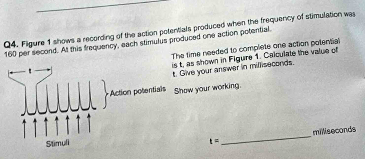 Figure 1 shows a recording of the action potentials produced when the frequency of stimulation was
160 per second. At this frequency, each stimulus produced one action potential. 
The time needed to complete one action potential 
as shown in Figure 1. Calculate the value of 
ve your answer in milliseconds. 
w your working.
t= _milliseconds