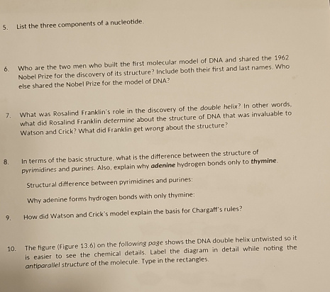 List the three components of a nucleotide. 
6. Who are the two men who built the first molecular model of DNA and shared the 1962
Nobel Prize for the discovery of its structure? Include both their first and last names. Who 
else shared the Nobel Prize for the model of DNA? 
7. What was Rosalind Franklin's role in the discovery of the double helix? In other words, 
what did Rosalind Franklin determine about the structure of DNA that was invaluable to 
Watson and Crick? What did Franklin get wrong about the structure? 
8. In terms of the basic structure, what is the difference between the structure of 
pyrimidines and purines. Also, explain why adenine hydrogen bonds only to thymine. 
Structural difference between pyrimidines and purines: 
Why adenine forms hydrogen bonds with only thymine: 
9. How did Watson and Crick's model explain the basis for Chargaff's rules? 
10. The figure (Figure 13.6) on the following page shows the DNA double helix untwisted so it 
is easier to see the chemical details. Label the diagram in detail while noting the 
antiparallel structure of the molecule. Type in the rectangles.