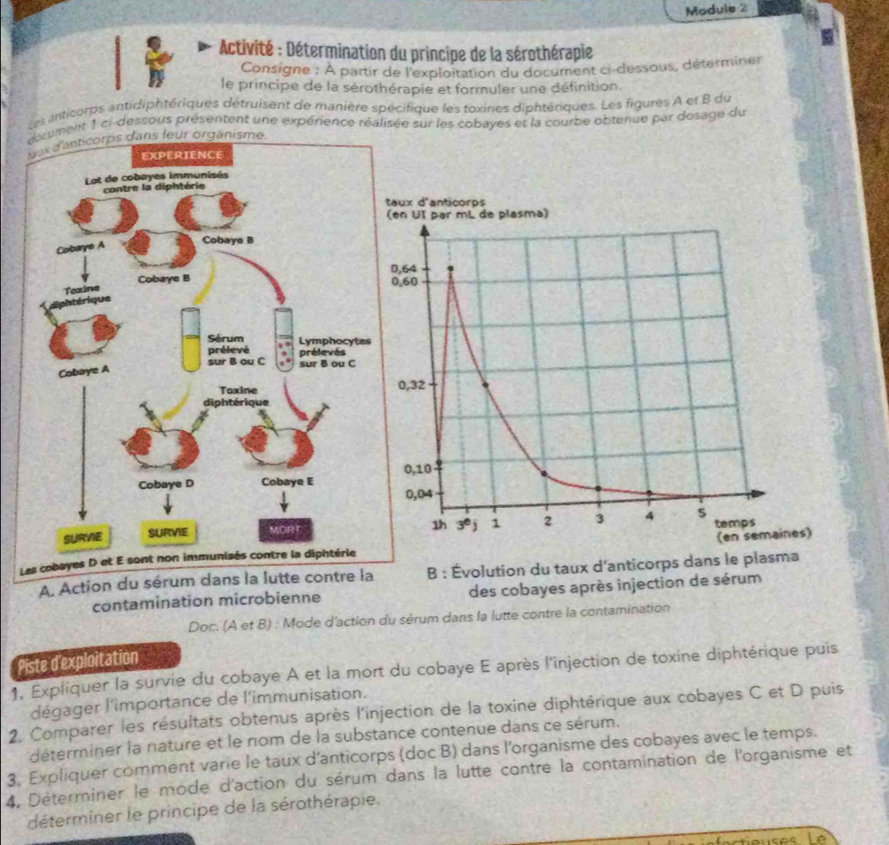 Module 2
Activité : Détermination du principe de la sérothérapie
Consigne : À partir de l'exploitation du document ci-dessous, déterminer
le principe de la sérothérapie et formuler une définition.
Les anticorps antidiphtériques détruisent de manière spécifique les toxines diphtériques. Les figures A et B du
décument 1 ci-dessous présentent une expérience réalisée sur les cobayes et la courbe obtenue par dosage du
L
A. Action duB : Évolution du taux d'anticorps dans le plasma
contamination microbienne des cobayes après injection de sérum
Doc. (A et B) : Mode d'action du sérum dans la lutte contre la contamination
Piste d'exploitation
1, Expliquer la survie du cobaye A et la mort du cobaye E après l'injection de toxine diphtérique puis
dégager l'importance de l'immunisation.
2. Comparer les résultats obtenus après l'injection de la toxine diphtérique aux cobayes C et D puis
déterminer la nature et le nom de la substance contenue dans ce sérum.
3, Expliquer comment varie le taux d'anticorps (doc B) dans l'organisme des cobayes avec le temps.
4, Déterminer le mode d'action du sérum dans la lutte contre la contamination de l'organisme et
déterminer le principe de la sérothérapie.