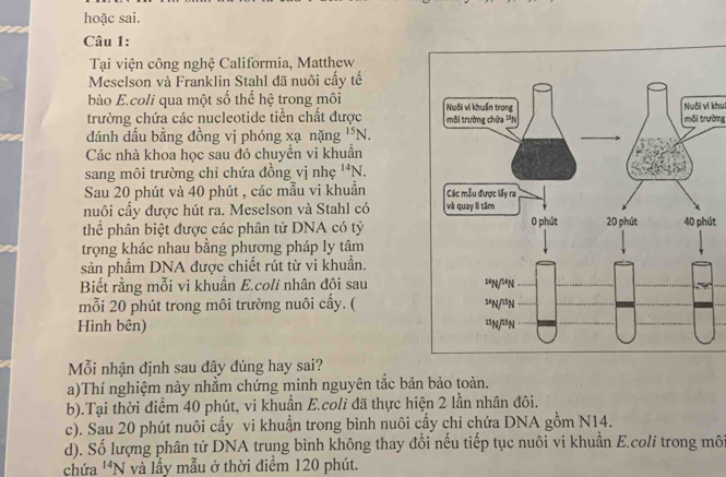 hoặc sai. 
Câu 1: 
Tại viện công nghệ Califormia, Matthew 
Meselson và Franklin Stahl đã nuôi cấy tế 
bào E.coli qua một số thế hệ trong môi 
trường chứa các nucleotide tiền chất được Nuôi vi khui 
dánh dấu bằng đồng vị phóng xạ nặng^(15)N. môi trường 
Các nhà khoa học sau đó chuyền vi khuần 
sang môi trường chỉ chứa đồng vị nhẹ ^14N
Sau 20 phút và 40 phút , các mẫu vi khuần 
nuôi cấy được hút ra. Meselson và Stahl có 
thể phân biệt được các phân tử DNA có tỷút 
trọng khác nhau bằng phương pháp ly tâm 
sản phầm DNA được chiết rút từ vi khuẩn. 
Biết rằng mỗi vi khuân E.coli nhân đôi sau 
mỗi 20 phút trong môi trường nuôi cầy. ( 
Hình bên) 
Mỗi nhận định sau dây dúng hay sai? 
a)Thí nghiệm này nhằm chứng minh nguyên tắc bán bảo toàn. 
b).Tại thời điểm 40 phút, vi khuẩn E.coli đã thực hiện 2 lần nhân đôi. 
c). Sau 20 phút nuôi cấy vi khuẩn trong bình nuôi cấy chi chứa DNA gồm N14. 
d). Số lượng phân tử DNA trung bình không thay đồi nếu tiếp tục nuôi vi khuẩn E.coli trong môi 
chứa ''N và lấy mẫu ở thời điểm 120 phút.