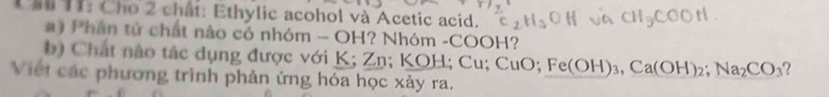 Cầ Tí: Cho 2 chất: Ethylic acohol và Acetic acid. 
a ) Phân tử chất nào có nhóm - OH? Nhóm -C 00 H? 
b) Chát nào tác dụng được với K; Zn; KOH; Cu: CuO; Fe(OH)_3, Ca(OH)_2; Na_2CO_3 ? 
Việt các phương trình phản ứng hóa học xảy ra.