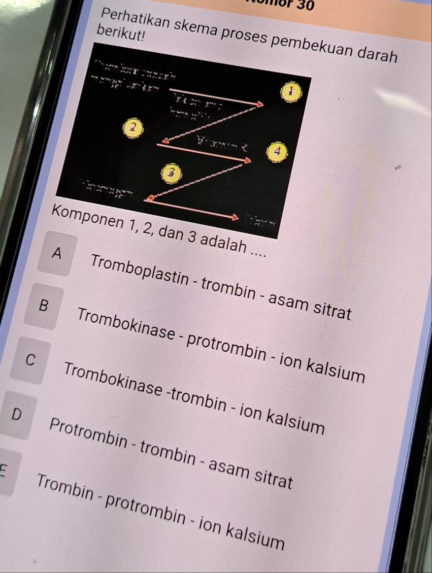 omor 30
berikut!
Perhatikan skema proses pembekuan darah
beginarrayr tinifintyfugys'stdt=ks Ztendarray 
beginarrayr (x-beginarrayr )endarray beginarrayr y^n x^nendarray .beginarrayr endarray beginarrayr y^n; y^nendarray .beginarrayr endarray beginarrayr endarray ^nxy y
1°B°, 
2
 N/* B=frac 12 (1+y+x)/5 =frac 15 < 4</tex>
Komponen 1, 2, dan 3 adalah ....
A Tromboplastin - trombin - asam sitrat
B Trombokinase - protrombin - ion kalsium
C Trombokinase -trombin - ion kalsium
D Protrombin - trombin - asam sitrat
Trombin - protrombin - ion kalsium