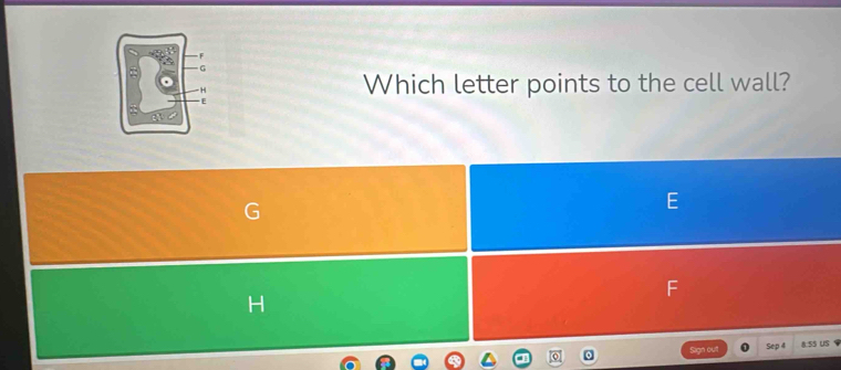 Which letter points to the cell wall? 
Sign out Sep 4 SS U