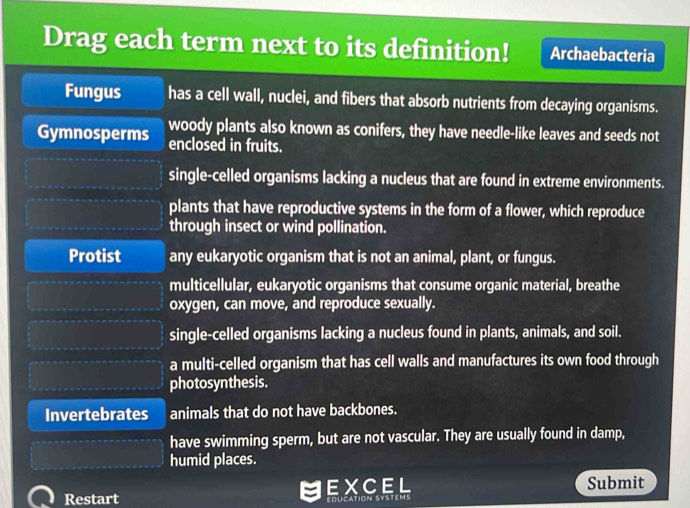 Drag each term next to its definition! Archaebacteria
Fungus has a cell wall, nuclei, and fibers that absorb nutrients from decaying organisms.
woody plants also known as conifers, they have needle-like leaves and seeds not
Gymnosperms enclosed in fruits.
single-celled organisms lacking a nucleus that are found in extreme environments.
plants that have reproductive systems in the form of a flower, which reproduce
through insect or wind pollination.
Protist any eukaryotic organism that is not an animal, plant, or fungus.
multicellular, eukaryotic organisms that consume organic material, breathe
oxygen, can move, and reproduce sexually.
single-celled organisms lacking a nucleus found in plants, animals, and soil.
a multi-celled organism that has cell walls and manufactures its own food through
photosynthesis.
Invertebrates animals that do not have backbones.
have swimming sperm, but are not vascular. They are usually found in damp,
humid places.
Restart EXCEL Submit