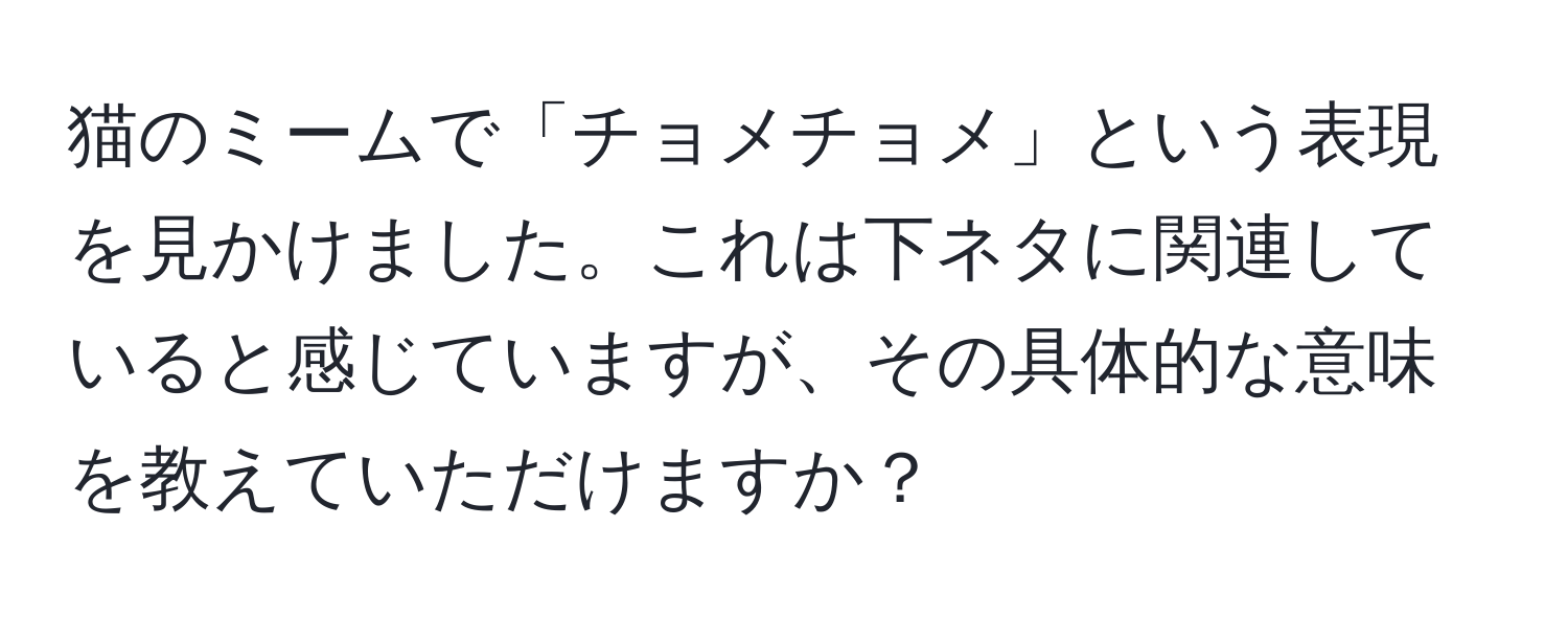 猫のミームで「チョメチョメ」という表現を見かけました。これは下ネタに関連していると感じていますが、その具体的な意味を教えていただけますか？