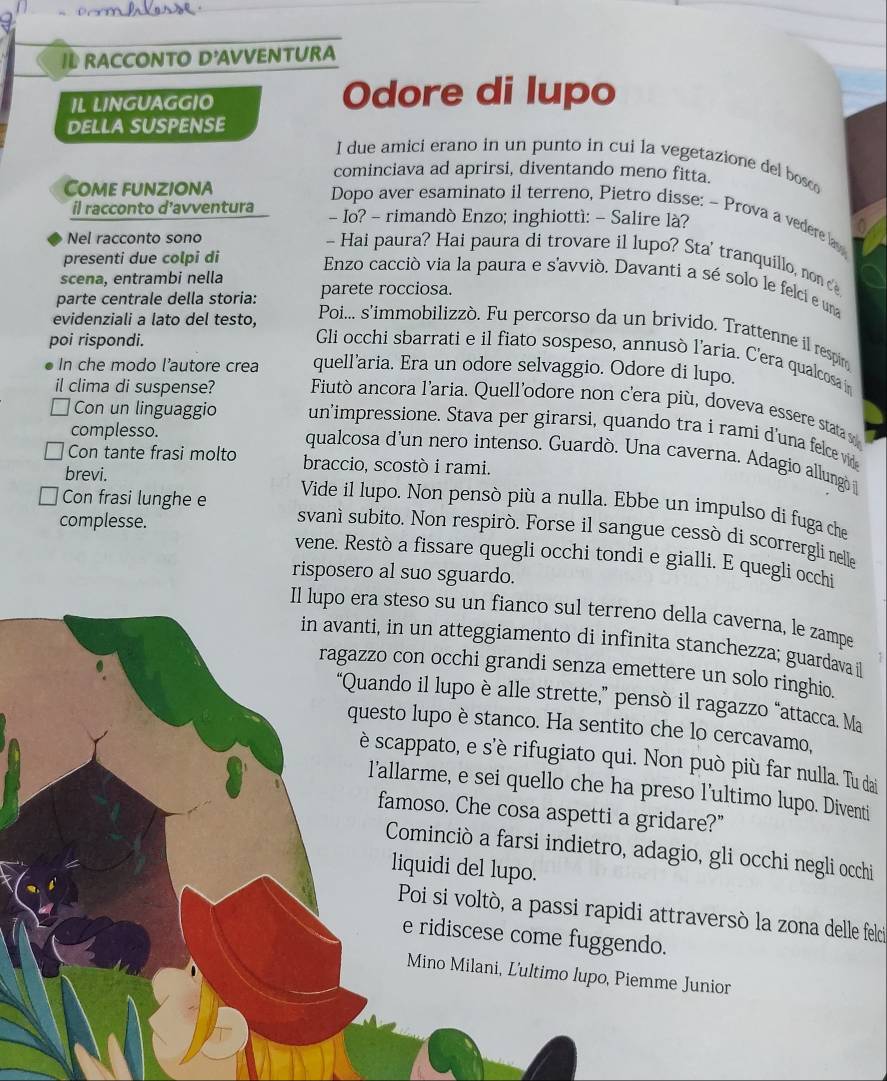 ID RACCONTO D'AVVENTURA
IL LINGUAGGIO Odore di lupo
DELLA SUSPENSE
I due amici erano in un punto in cui la vegetazione del bosc
cominciava ad aprirsi, diventando meno fitta.
Come funziona
Dopo aver esaminato il terreno, Pietro disse: - Prova a vedere a
il racconto d’avventura - Io? - rimandò Enzo; inghiottì: - Salire là?
Nel racconto sono
~ Hai paura? Hai paura di trovare il lupo? Sta' tranquillo, non c
presenti due colpi di
scena, entrambi nella
Enzo cacciò via la paura e s'avviò. Davanti a sé solo le felci e una
parte centrale della storia: parete rocciosa.
evidenziali a lato del testo,
Poi... s'immobilizzò. Fu percorso da un brivido. Trattenne il respiro
poi rispondi.
Gli occhi sbarrati e il fiato sospeso, annusò l'aria. C'era qualcosa in
In che modo l’autore crea quell'aria. Era un odore selvaggio. Odore di lupo.
il clima di suspense? Fiutò ancora l'aria. Quell'odore non c'era più, doveva essere stata s
Con un linguaggio un'impressione. Stava per girarsi, quando tra i rami d'una felce vid
complesso.
qualcosa d'un nero intenso. Guardò. Una caverna. Adagio allungó 
Con tante frasi molto braccio, scostò i rami.
brevi.
Vide il lupo. Non pensò più a nulla. Ebbe un impulso di fuga che
complesse.
Con frasi lunghe e svanì subito. Non respirò. Forse il sangue cessò di scorrergli nelle
vene. Restò a fissare quegli occhi tondi e gialli. E quegli occhi
risposero al suo sguardo.
Il lupo era steso su un fianco sul terreno della caverna, le zampe
in avanti, in un atteggiamento di infinita stanchezza; guardava il
ragazzo con occhi grandi senza emettere un solo ringhio.
“Quando il lupo è alle strette,” pensò il ragazzo “attacca. Ma
questo lupo è stanco. Ha sentito che lo cercavamo,
è scappato, e s'è rifugiato qui. Non può più far nulla. Tu dai
l'allarme, e sei quello che ha preso l'ultimo lupo. Diventi
famoso. Che cosa aspetti a gridare?"
Cominciò a farsi indietro, adagio, gli occhi negli occhi
liquidi del lupo.
Poi si voltò, a passi rapidi attraversò la zona delle felci
e ridiscese come fuggendo.
Mino Milani, L'ultimo lupo, Piemme Junior