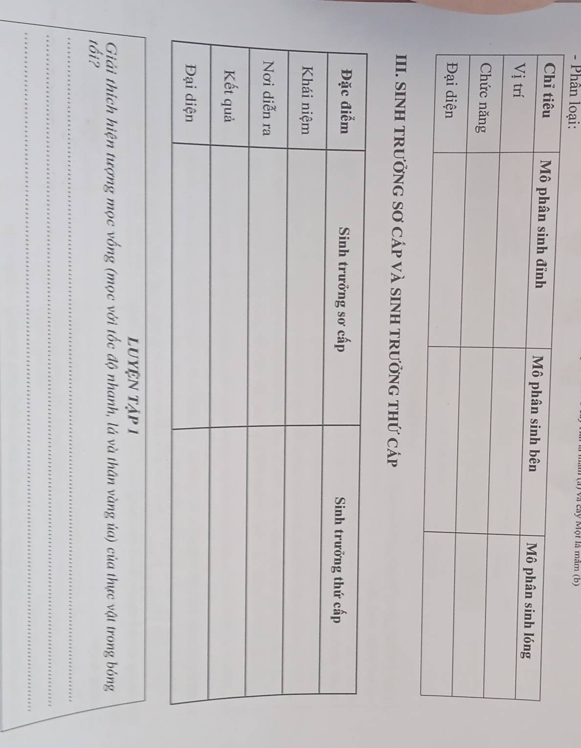 Phân loại: 
âm (a) và cây Một là mãm (b) 
III. SINH TRƯỞNG SƠ CÁP VÀ SINH TRưởNG THỨ Cáp 
luyện tập 1 
Giải thích hiện tượng mọc vống (mọc với tốc độ nhanh, lá và thân vàng ủa) của thực vật trong bóng 
tối? 
_ 
_ 
_