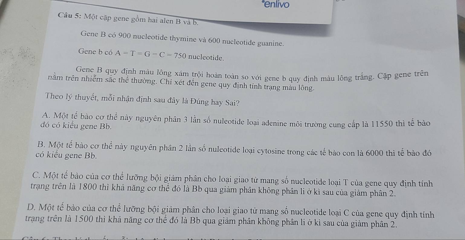 enlivo
Câu 5: Một cặp gene gồm hai alen B và b.
Gene B có 900 nucleotide thymine và 600 nucleotide guanine.
Gene b có A=T=G=C=750 nucleotide.
Gene B quy định màu lông xám trội hoàn toàn so với gene b quy định màu lông trắng. Cặp gene trên
nằm trên nhiễm sắc thể thường. Chỉ xét đến gene quy định tính trạng màu lông.
Theo lý thuyết, mỗi nhận định sau đây là Đúng hay Sai?
A. Một tế bào cơ thể này nguyên phân 3 lần số nuleotide loại adenine môi trường cung cấp là 11550 thì tế bào
đó có kiểu gene Bb.
B. Một tế bào cơ thể này nguyên phân 2 lần số nuleotide loại cytosine trong các tế bào con là 6000 thì tế bào đó
có kiểu gene Bb.
C. Một tế bào của cơ thể lưỡng bội giảm phân cho loại giao tử mang số nucleotide loại T của gene quy định tính
trạng trên là 1800 thì khả năng cơ thể đó là Bb qua giảm phân không phân li ở kì sau của giảm phân 2.
D. Một tế bào của cơ thể lưỡng bội giảm phân cho loại giao tử mang số nucleotide loại C của gene quy định tính
trang trên là 1500 thì khả năng cơ thể đó là Bb qua giảm phân không phân li ở kì sau của giảm phân 2.