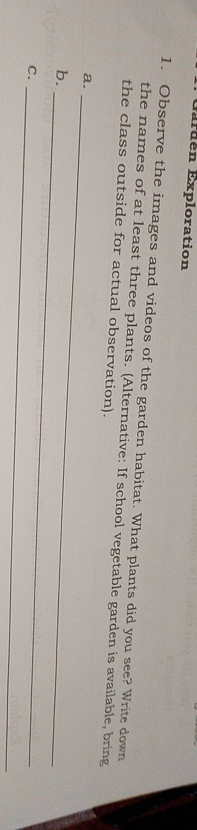 Exruén Exploration 
1. Observe the images and videos of the garden habitat. What plants did you see? Write down 
the names of at least three plants. (Alternative: If school vegetable garden is available, bring 
the class outside for actual observation). 
a._ 
_ 
b. 
C._