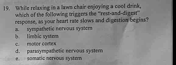 While relaxing in a lawn chair enjoying a cool drink,
which of the following triggers the “rest-and-digest”
response, as your heart rate slows and digestion begins?
a. sympathetic nervous system
b. limbic system
c. motor cortex
d. parasympathetic nervous system
e. somatic nervous system