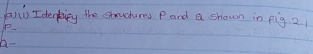 Ideniry the struchures P and a shown in fig 2.
P _
Q -