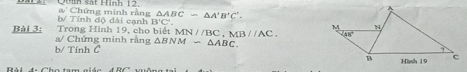 Quan sát Hình 12. 
Chứng minh rằng △ ABC∽ △ A'B'C'.
b/ Tính độ đài cạnh B'C'.
Bài 3: Trong Hình 19, cho biết MN//BC,MB//AC.
a/ Chứng minh rằng △ BNM∽ △ ABC.
b/ Tính C 
ài 4: Cho tam giác ABC