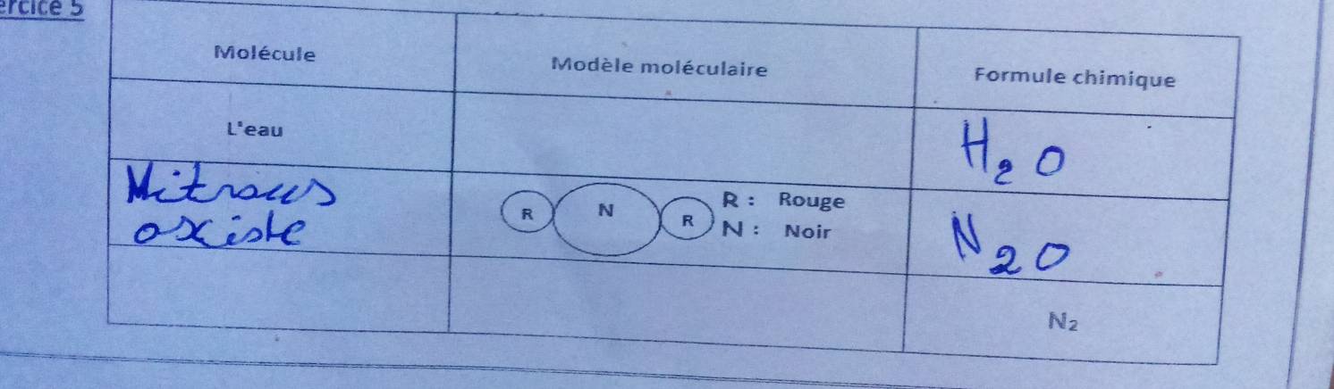 rcice 5