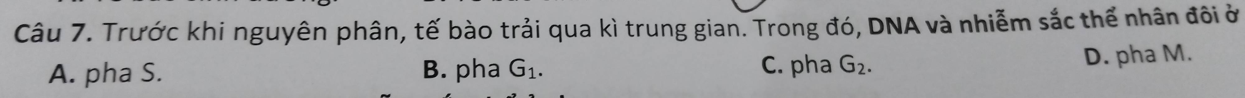 Trước khi nguyên phân, tế bào trải qua kì trung gian. Trong đó, DNA và nhiễm sắc thể nhân đôi ở
A. pha S. B. pha G_1. G_2. D. pha M.
C. pha