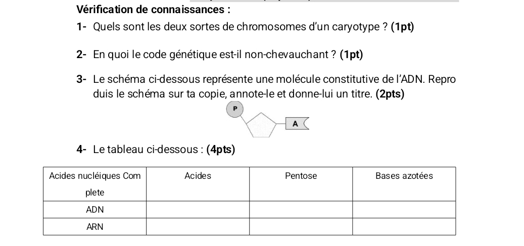 Vérification de connaissances : 
1- Quels sont les deux sortes de chromosomes d'un caryotype ? (1pt) 
2- En quoi le code génétique est-il non-chevauchant ? (1pt) 
3- Le schéma ci-dessous représente une molécule constitutive de l'ADN. Repro 
duis le schéma sur ta copie, annote-le et donne-lui un titre. (2pts) 
P 
A 
4- Le tableau ci-dessous : (4pts)