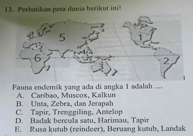 Perhatikan peta dunia berikut ini!
Fauna endemik yang ada di angka 1 adalah ....
A. Caribao, Muscox, Kalkun
B. Unta, Zebra, dan Jerapah
C. Tapir, Trenggiling, Antelop
D. Badak bercula satu, Harimau, Tapir
E. Rusa kutub (reindeer), Beruang kutub, Landak